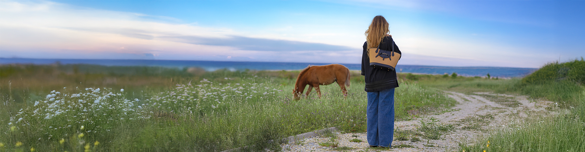 banner shekaz banner shekaz